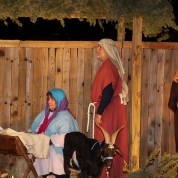 nativity holy family.WIQ3X