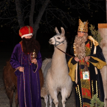 nativity kings.KUO53