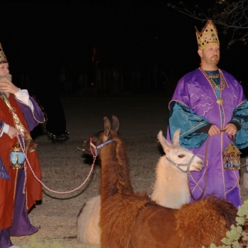 nativity kings lamas.9NPAQ